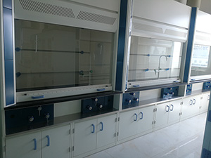 鋼鐵行業(yè)全鋼通風(fēng)柜工程案例