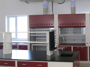 實(shí)驗(yàn)室全鋼通風(fēng)柜