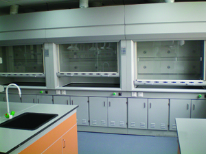 環保行業全鋼通風柜工程案例